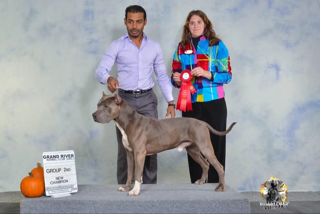 Champion working dog