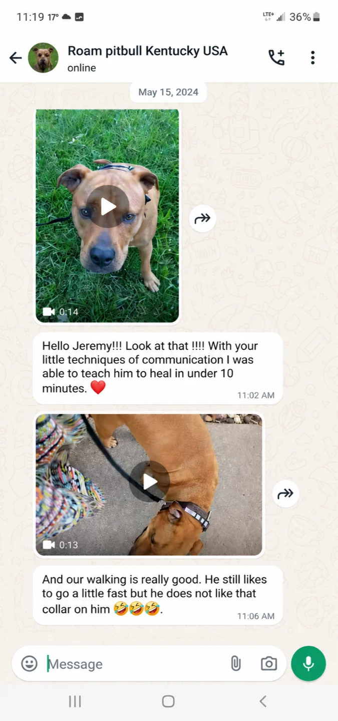 Client testimonial