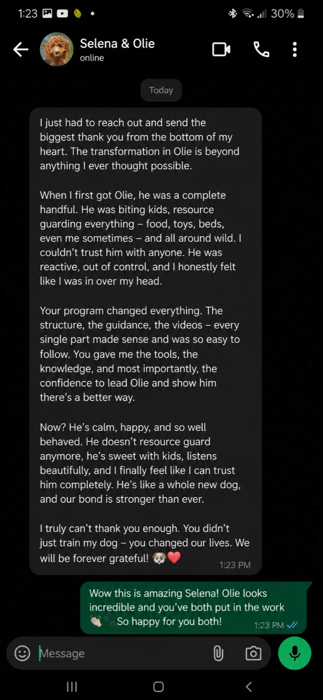Client testimonial