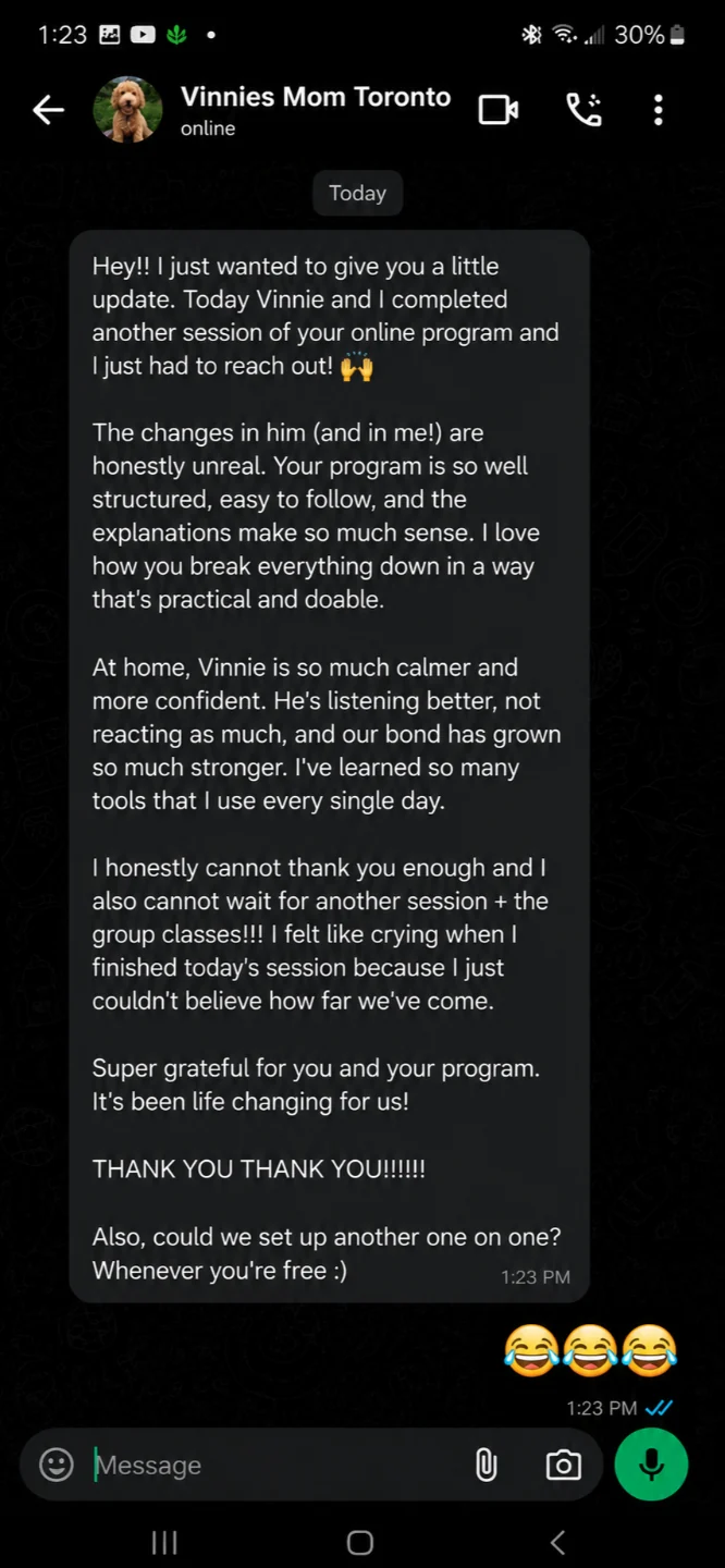 Client testimonial